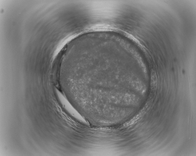 X0000057071461200510071420