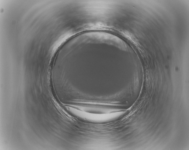 X0000057071463200510071420