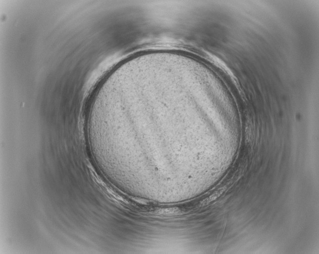 X0000057071464200510071420