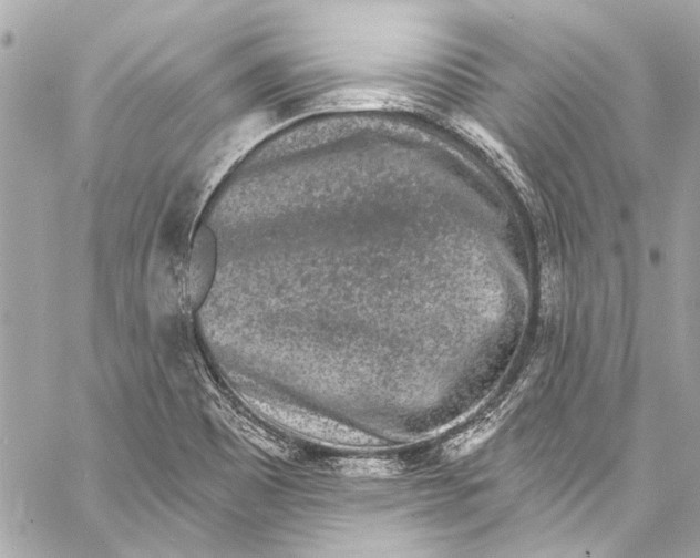 X0000057071465200510071420