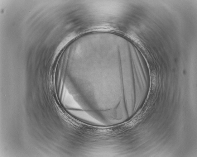 X0000057071466200510071420