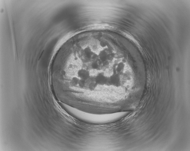 X0000057071467200510071420