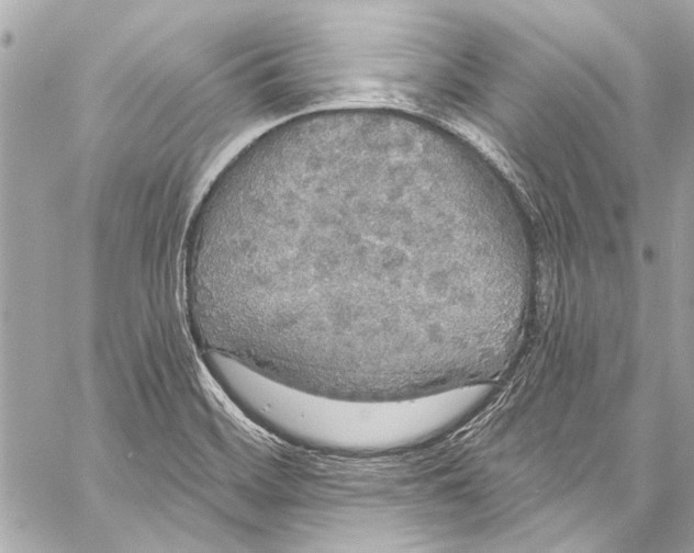 X0000057071468200510071420