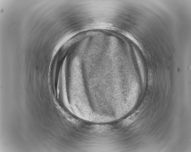 X0000057071469200510071420