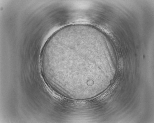 X0000057071470200510071420