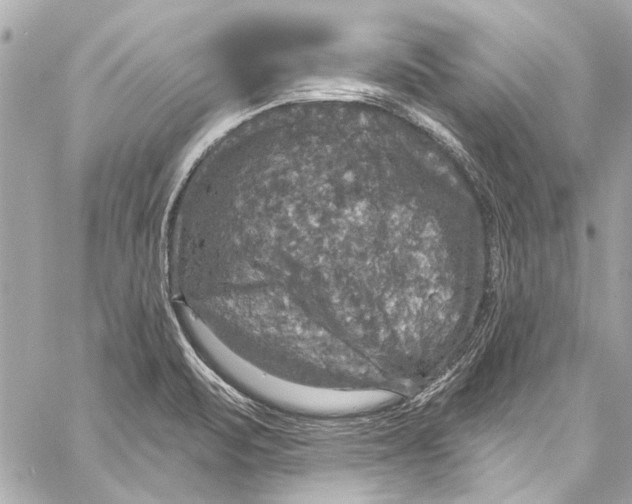 X0000057071471200510071420