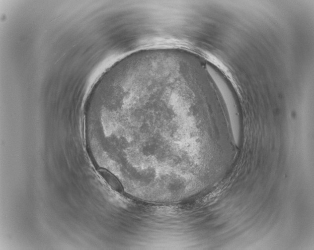 X0000057071472200510071420