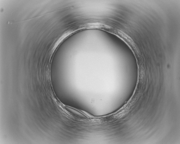 X0000057071473200510071420