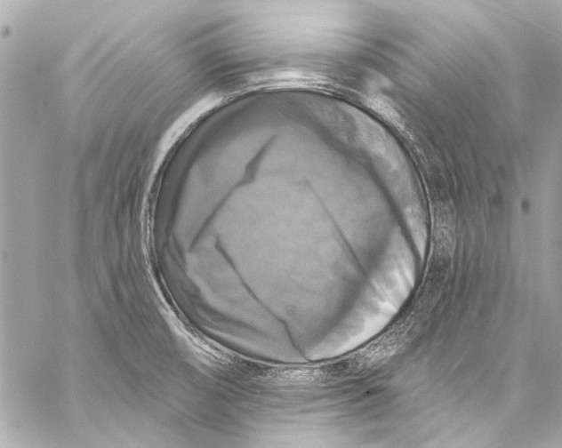 X0000057071474200510071420