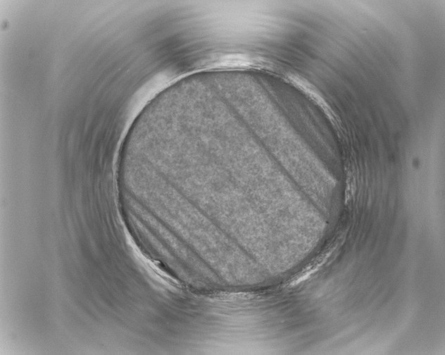 X0000057071475200510071420