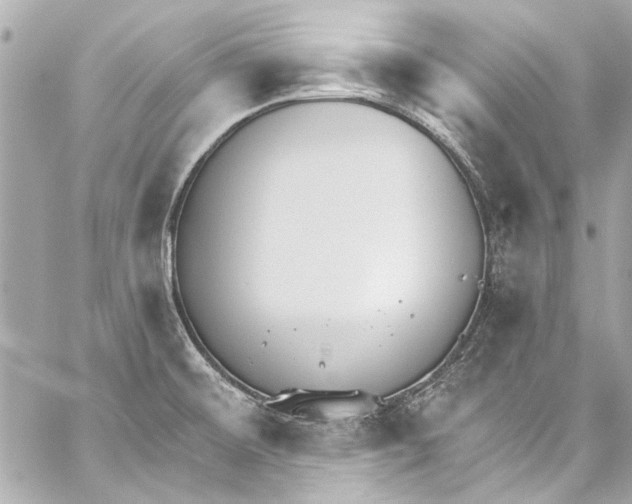 X0000057071476200510071420