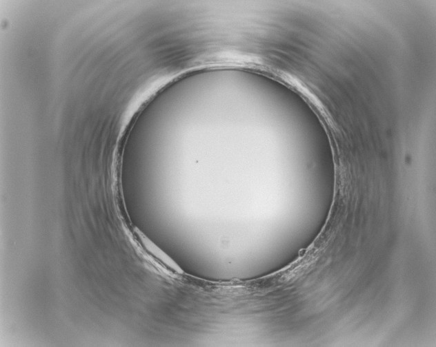 X0000057071477200510071419