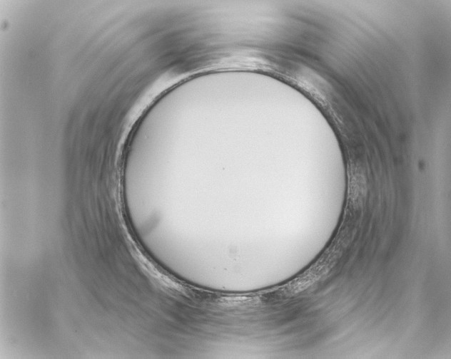 X0000057071478200510071419