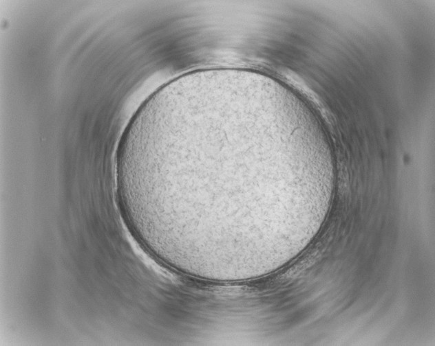 X0000057071479200510071419