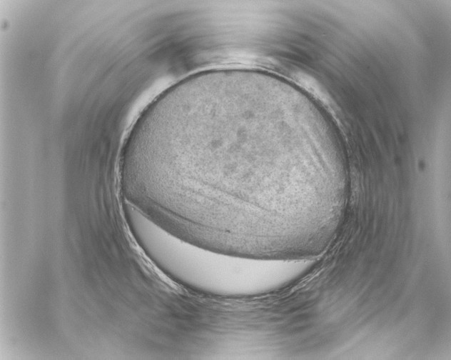 X0000057071480200510071419