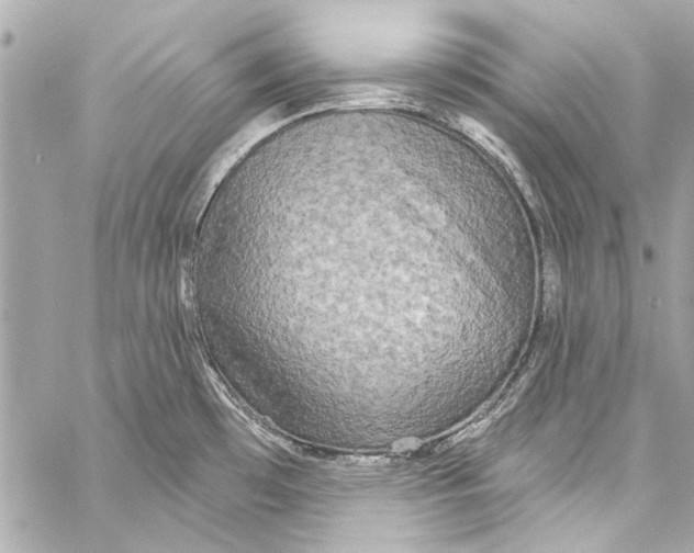 X0000057071481200510071419