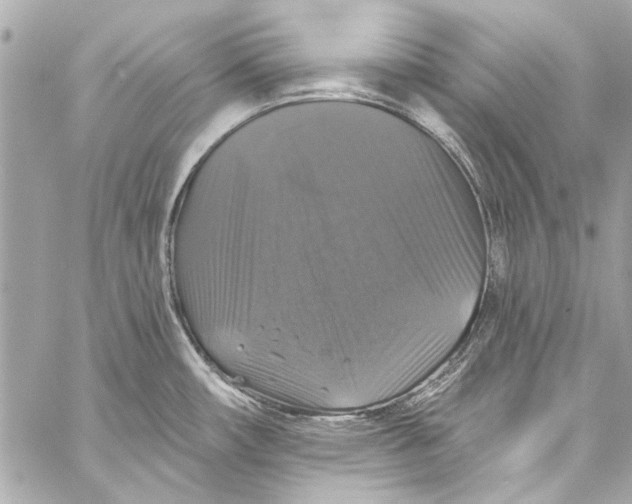 X0000057071482200510071419