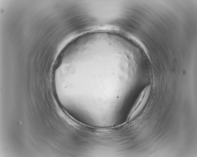 X0000057071483200510071419