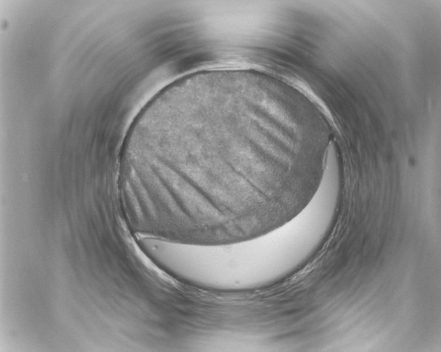 X0000057071484200510071419