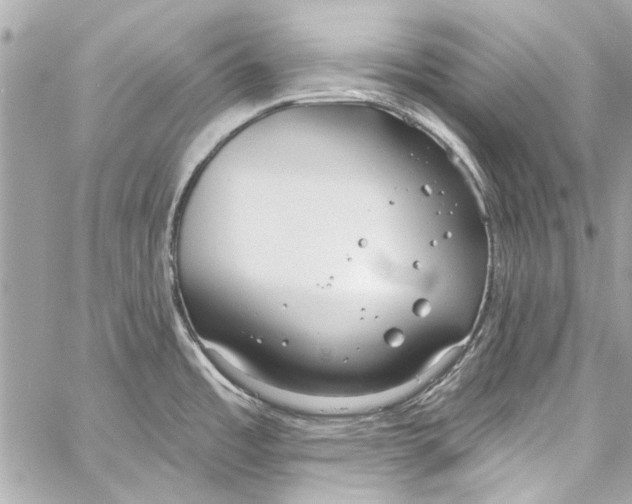 X0000057071485200510071419