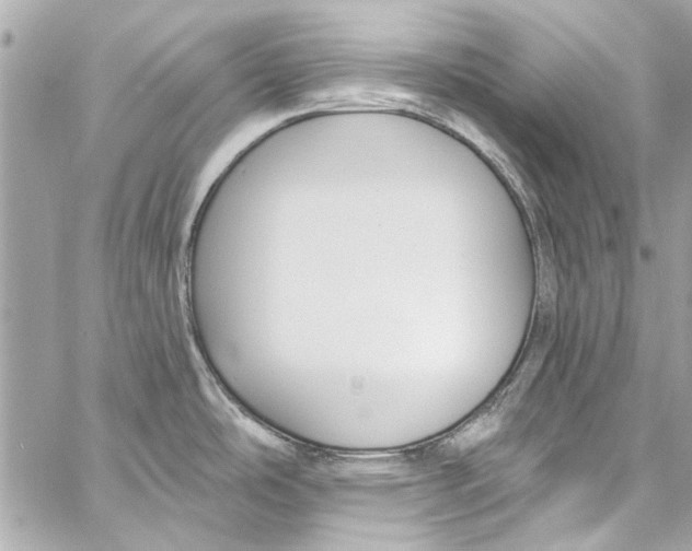 X0000057071486200510071419