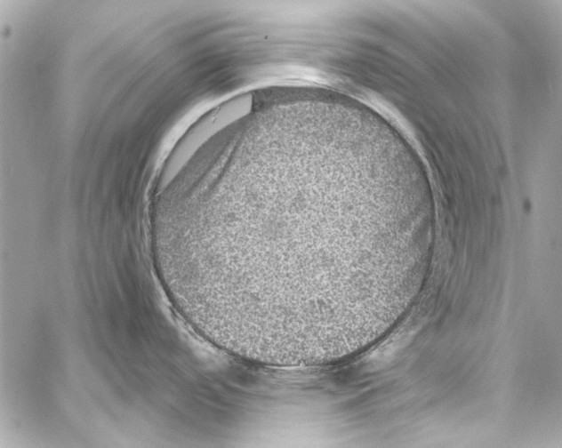 X0000057071488200510071419