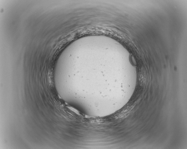 X0000057071490200510071419