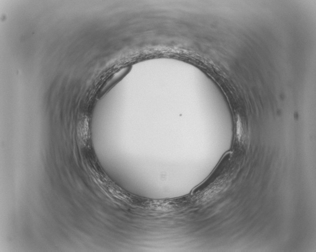 X0000057071492200510071419