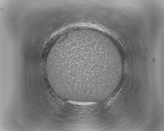 X0000057071494200510071419