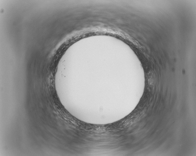 X0000057071495200510071419