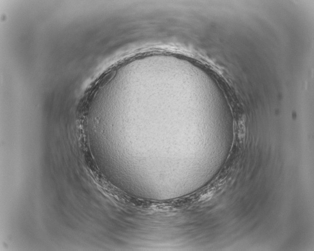 X0000057071496200510071419