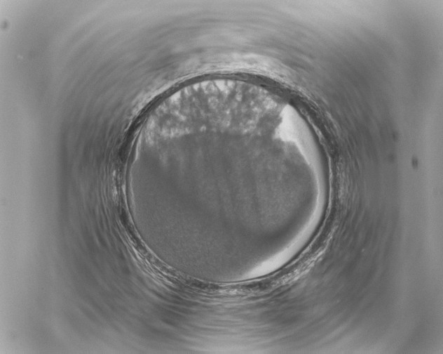 X0000057071497200510071419