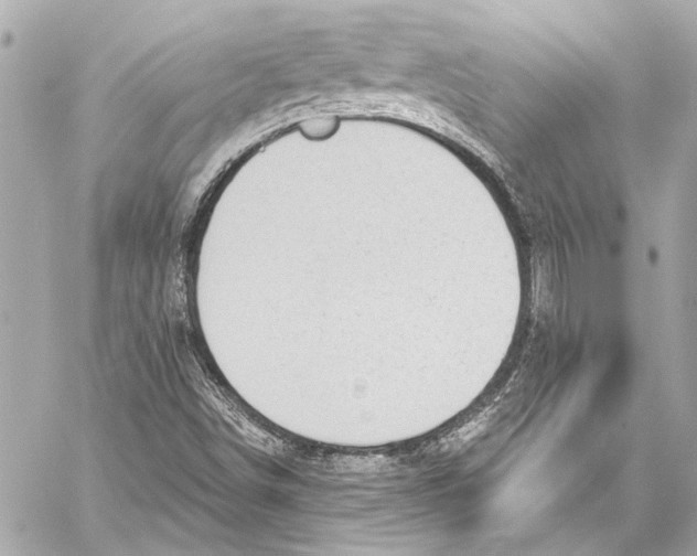 X0000057071498200510071419