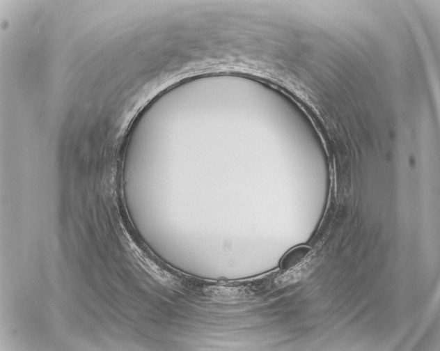 X0000057071500200510071419