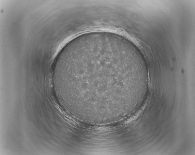 X0000057071501200510071419