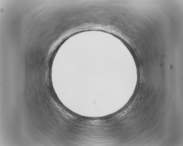 X0000057071502200510071419