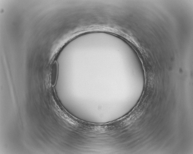 X0000057071504200510071419