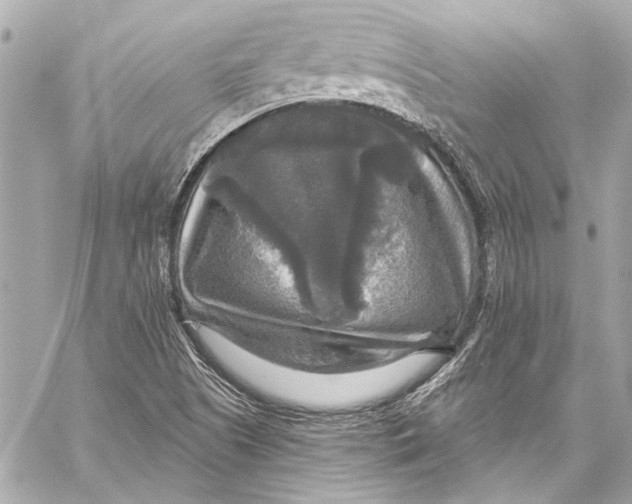 X0000057071505200510071419