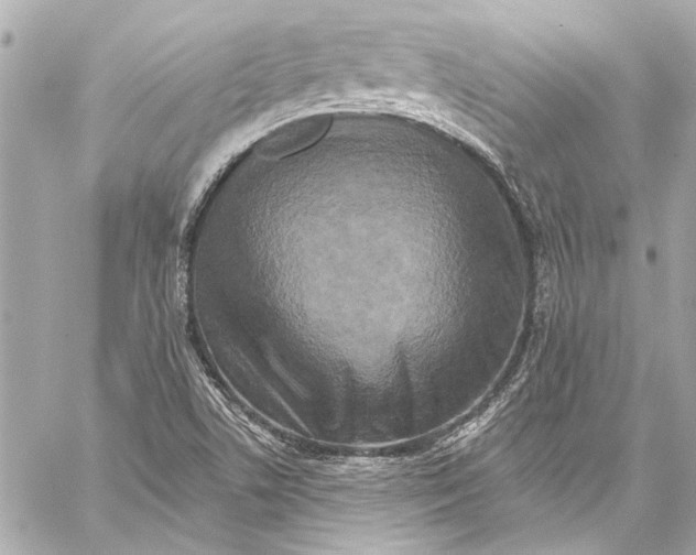 X0000057071506200510071419