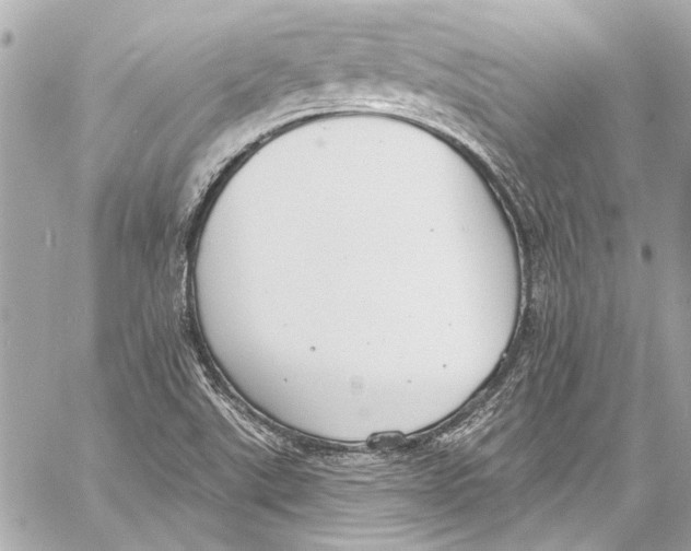 X0000057071507200510071419