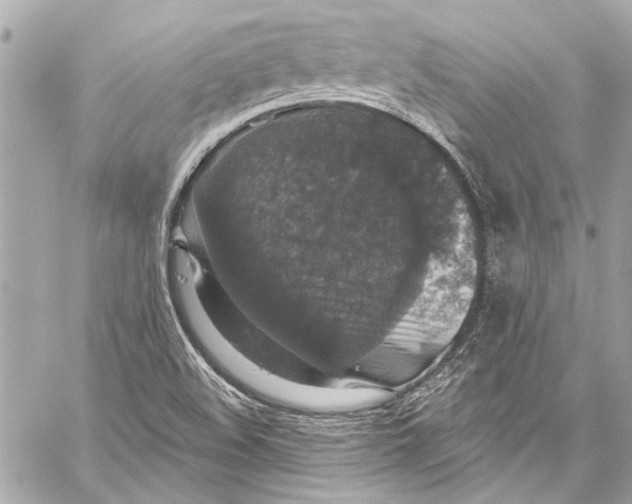 X0000057071508200510071419