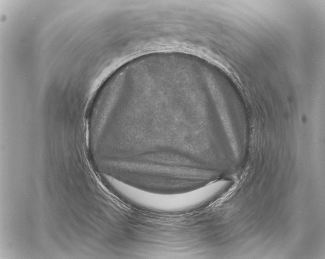 X0000057071509200510071419