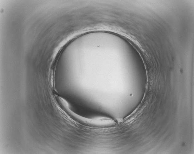 X0000057071510200510071419