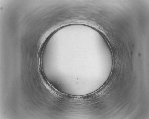 X0000057071511200510071419