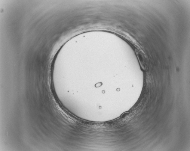 X0000057071512200510071419