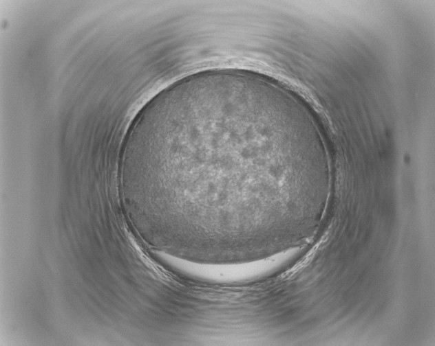 X0000057071513200510071419