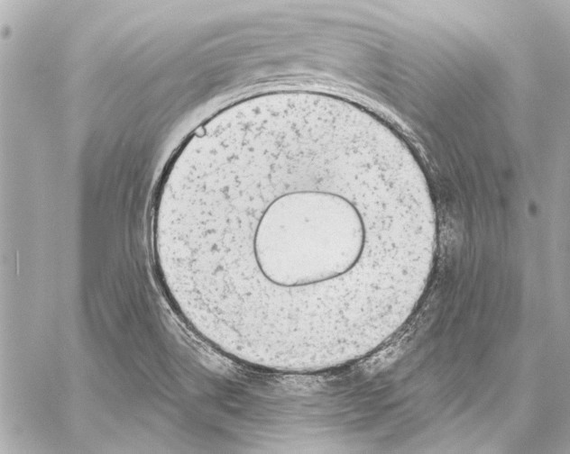 X0000057071514200510071419