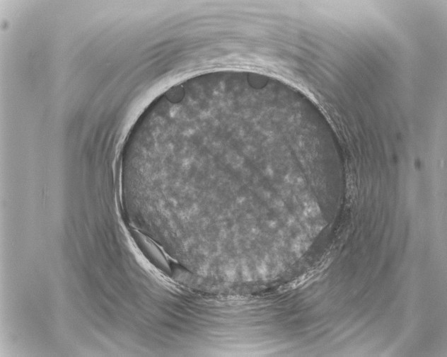 X0000057071515200510071419