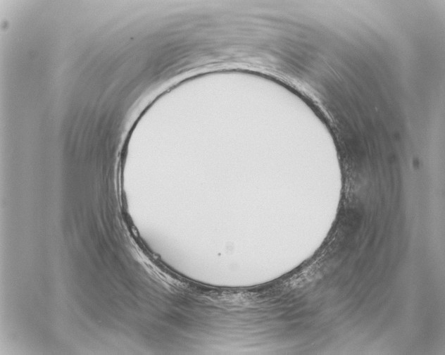 X0000057071516200510071419