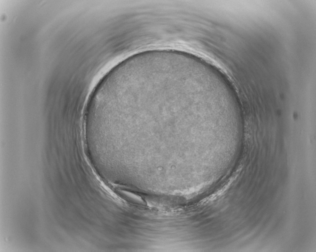 X0000057071517200510071419